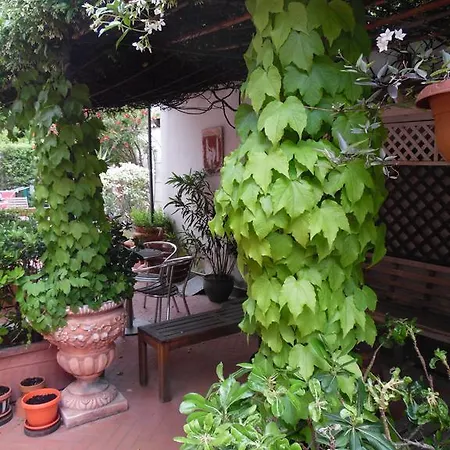 Agora * بومبيي